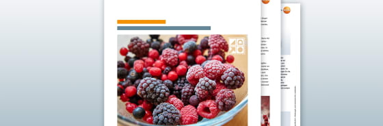 应用示例： 冷冻干燥