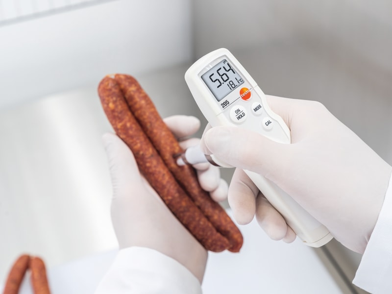 pH计 testo 205