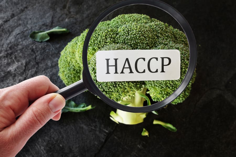 带 HACCP 术语的放大镜下的西兰花