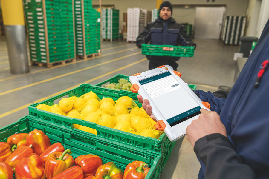 蔬菜托盘质量检查