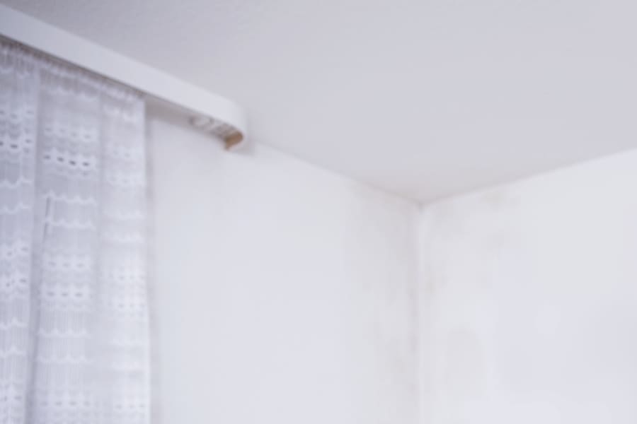 墙壁或天花板上水分过多的地方都可能形成霉菌。