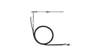 Flue gas probe with preliminary filter