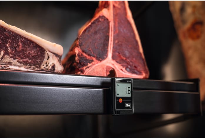 application testo 174H