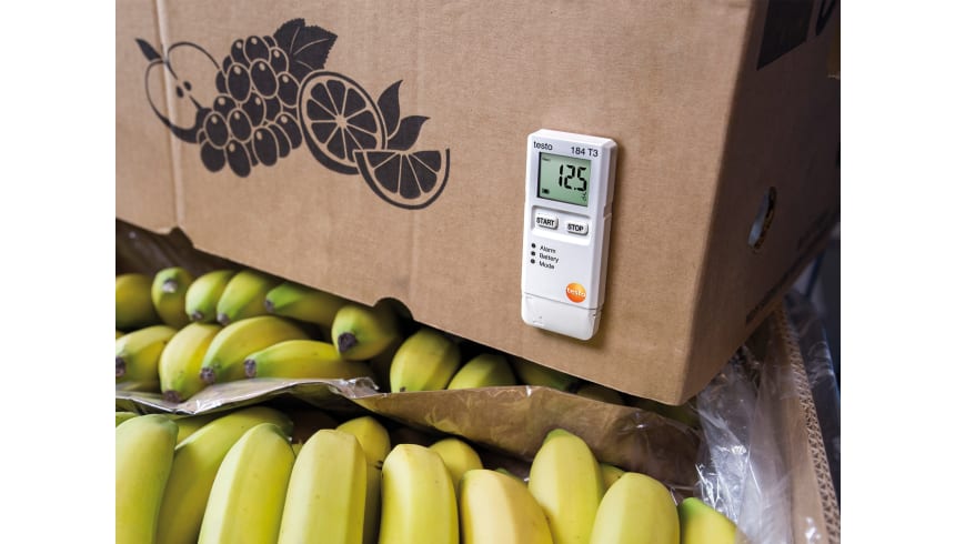 application testo 184 T3