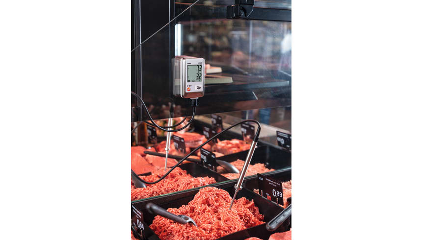 application testo 175T2