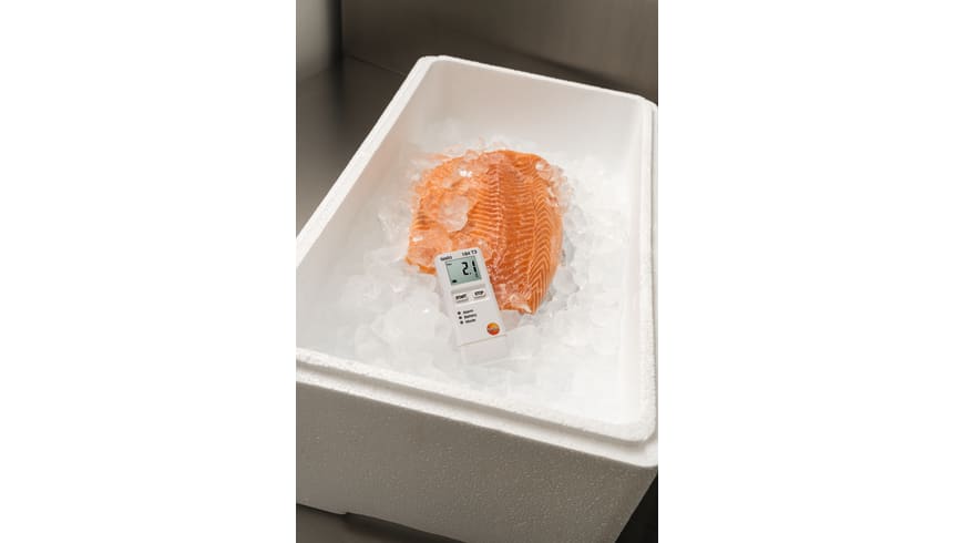 application testo 184 T3